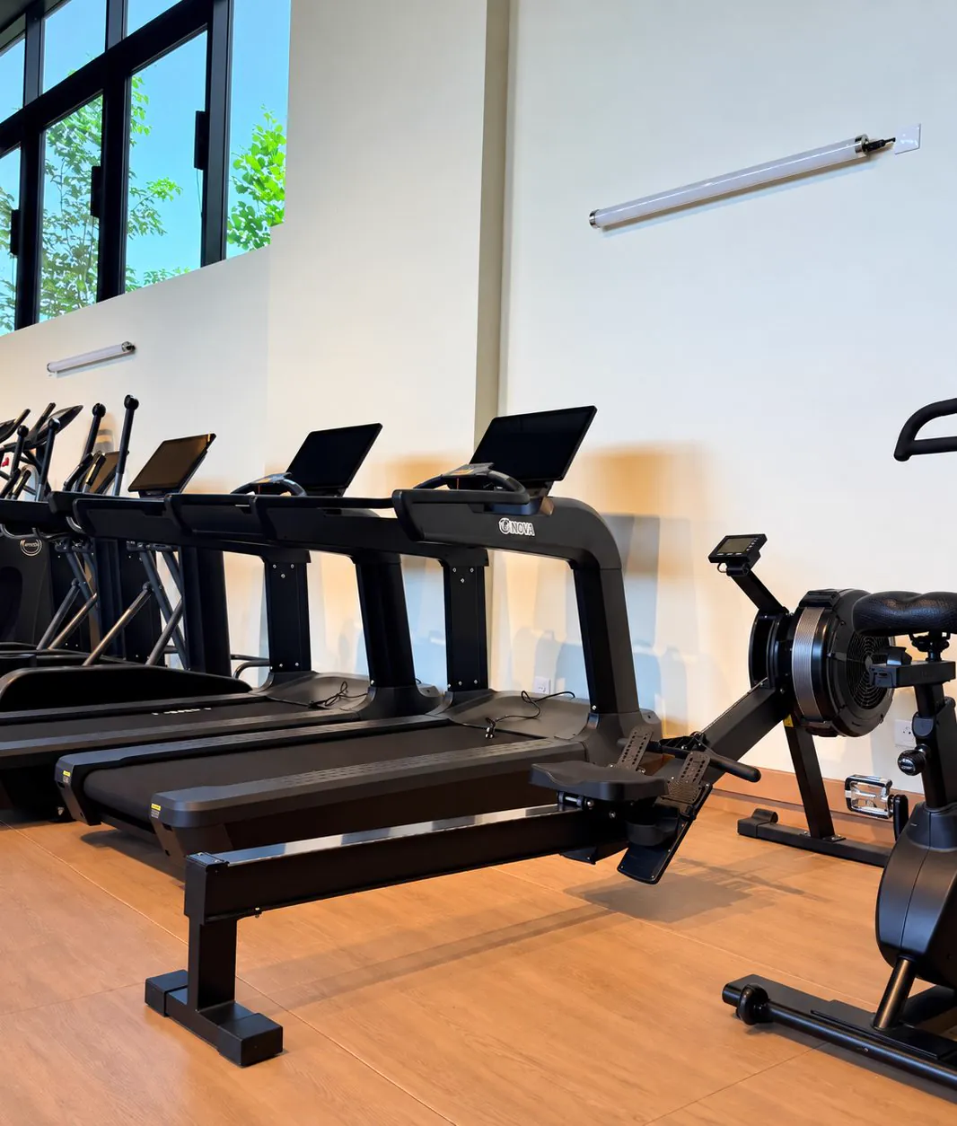 Espace cardio : tapis de course, rameur et vélo
